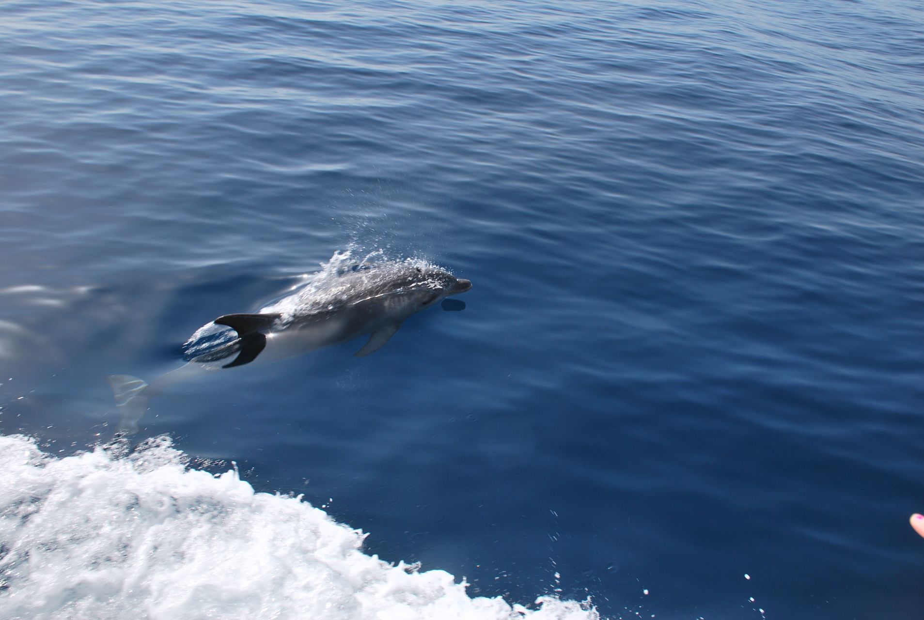 Kornati boat excursion